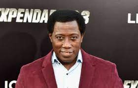 Wesley Snipes Net Worth 2020 – Actor and Martial Artist