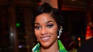 Joseline Hernandez Net Worth 2020 and Bio