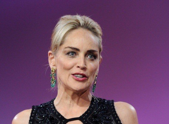 Sharon Stone Net Worth 2022,