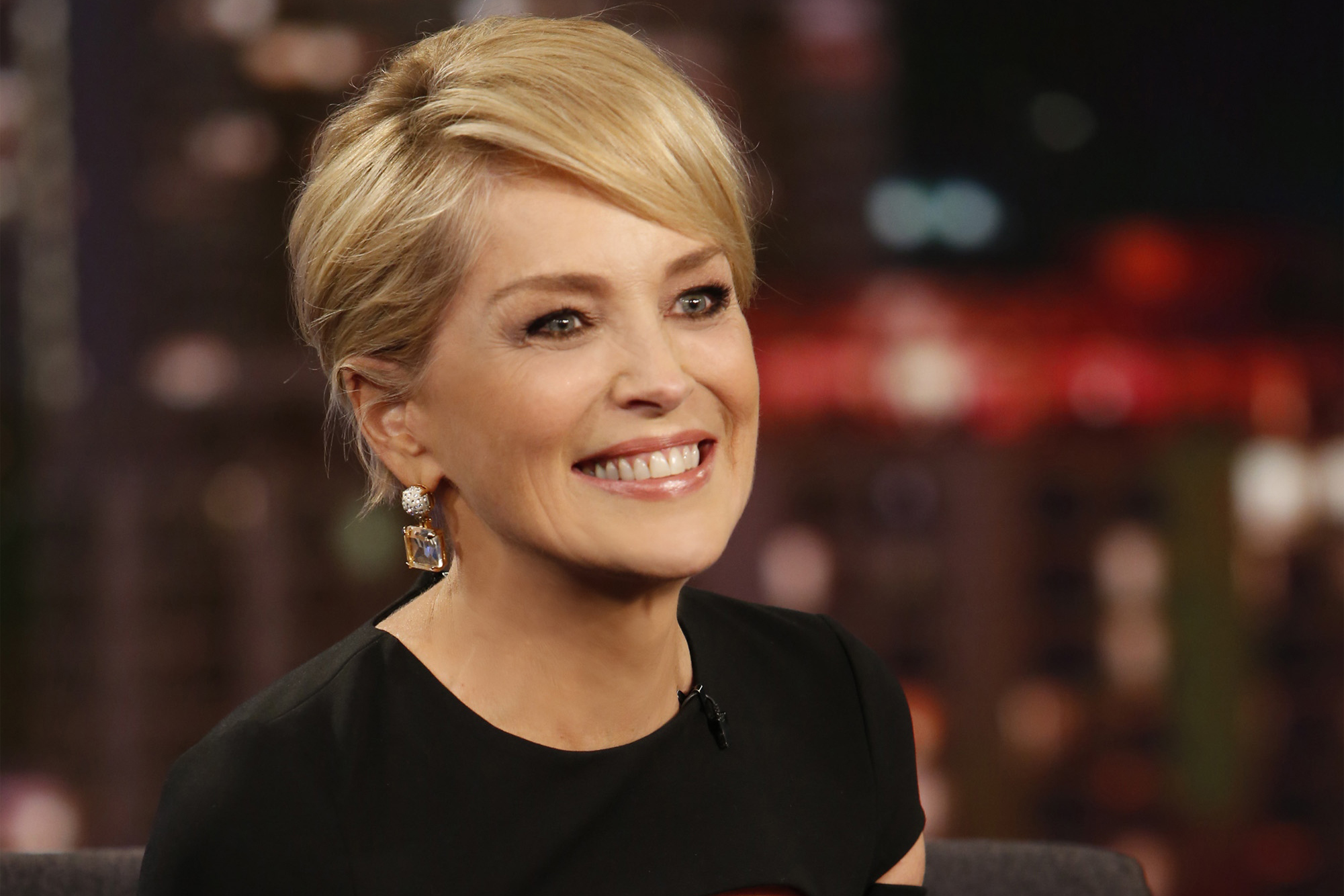 Sharon Stone Net Worth 2022 .